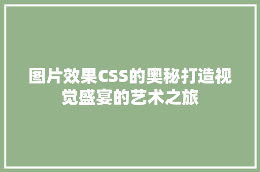 图片效果CSS的奥秘打造视觉盛宴的艺术之旅
