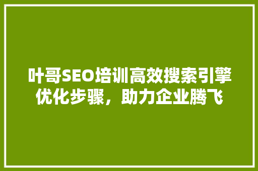 叶哥SEO培训高效搜索引擎优化步骤，助力企业腾飞
