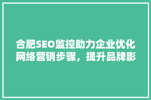 合肥SEO监控助力企业优化网络营销步骤，提升品牌影响力
