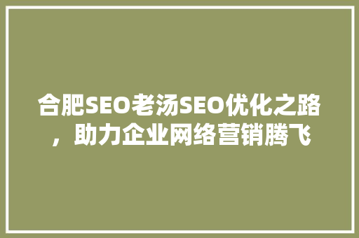 合肥SEO老汤SEO优化之路，助力企业网络营销腾飞