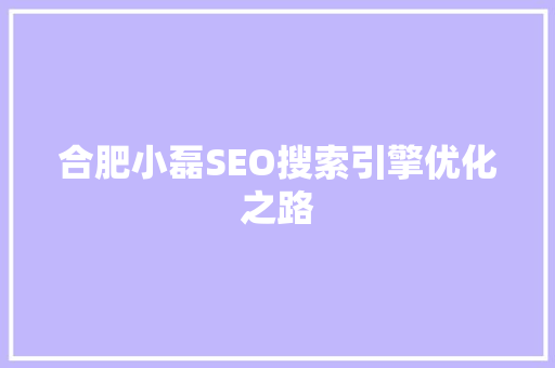 合肥小磊SEO搜索引擎优化之路