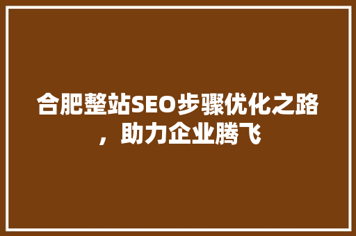 合肥整站SEO步骤优化之路，助力企业腾飞