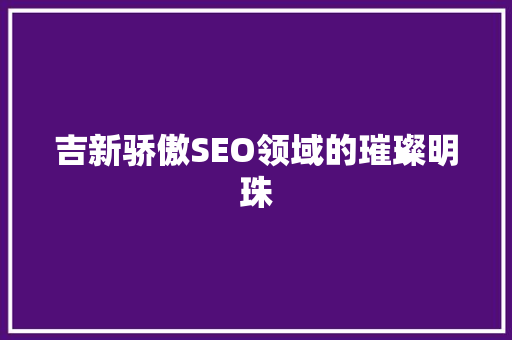 吉新骄傲SEO领域的璀璨明珠