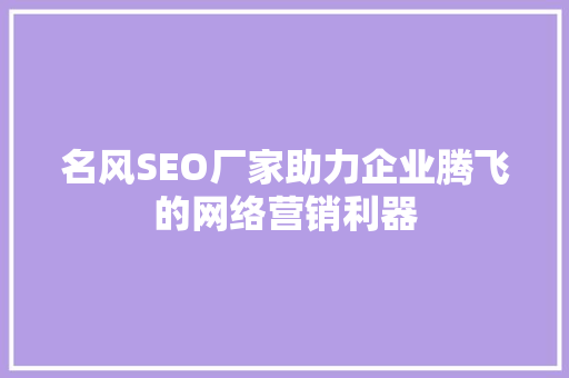 名风SEO厂家助力企业腾飞的网络营销利器