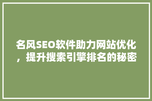 名风SEO软件助力网站优化，提升搜索引擎排名的秘密武器