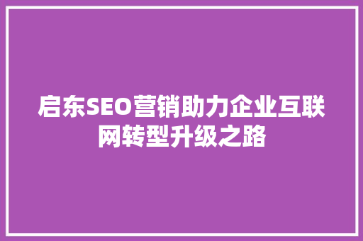 启东SEO营销助力企业互联网转型升级之路