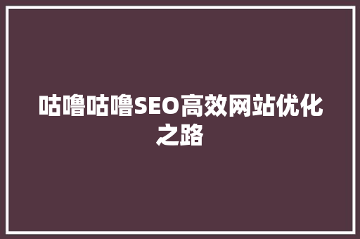 咕噜咕噜SEO高效网站优化之路