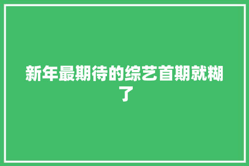 新年最期待的综艺首期就糊了