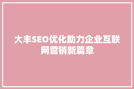 大丰SEO优化助力企业互联网营销新篇章
