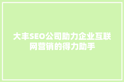 大丰SEO公司助力企业互联网营销的得力助手
