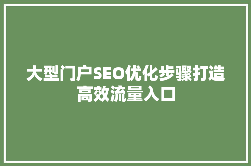 大型门户SEO优化步骤打造高效流量入口