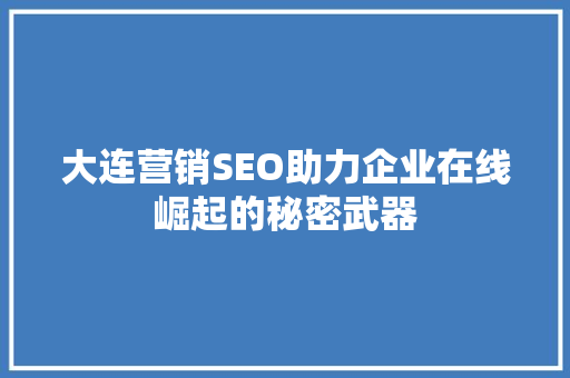 大连营销SEO助力企业在线崛起的秘密武器