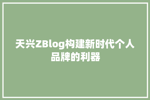 天兴ZBlog构建新时代个人品牌的利器