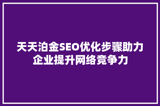天天泊金SEO优化步骤助力企业提升网络竞争力