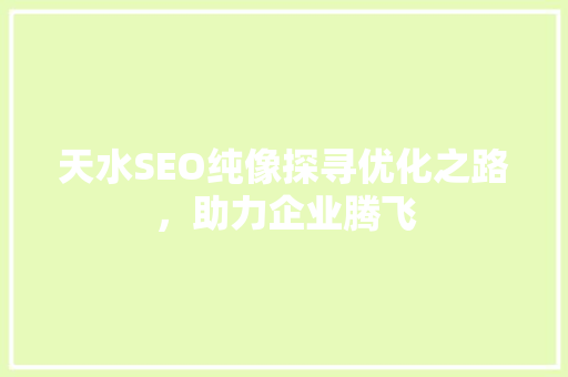 天水SEO纯像探寻优化之路，助力企业腾飞