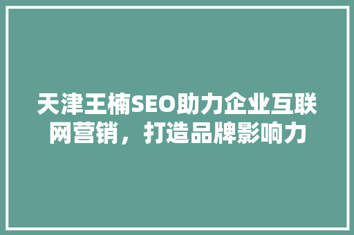 天津王楠SEO助力企业互联网营销，打造品牌影响力