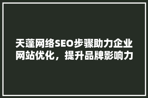天蓬网络SEO步骤助力企业网站优化，提升品牌影响力