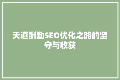 天道酬勤SEO优化之路的坚守与收获