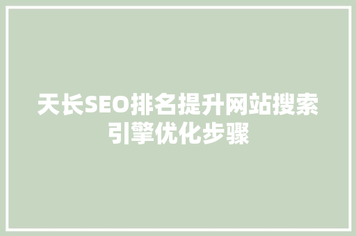 天长SEO排名提升网站搜索引擎优化步骤