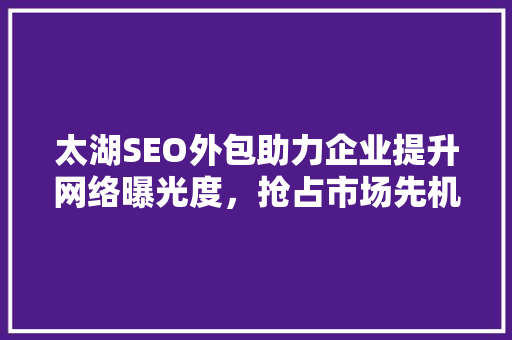 太湖SEO外包助力企业提升网络曝光度，抢占市场先机