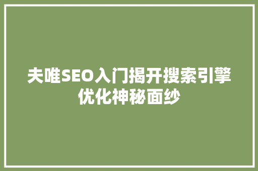夫唯SEO入门揭开搜索引擎优化神秘面纱