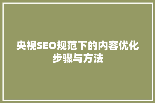 央视SEO规范下的内容优化步骤与方法