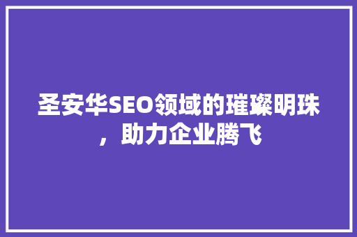 圣安华SEO领域的璀璨明珠，助力企业腾飞
