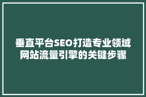 垂直平台SEO打造专业领域网站流量引擎的关键步骤