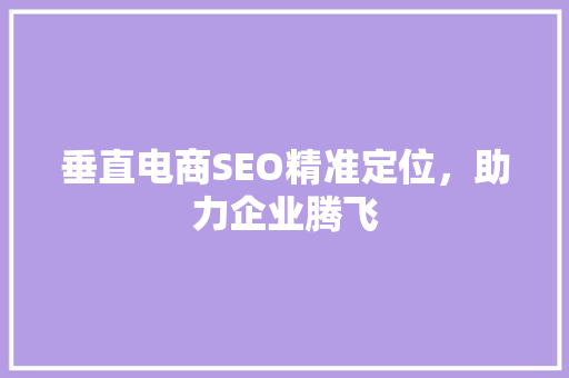 垂直电商SEO精准定位，助力企业腾飞