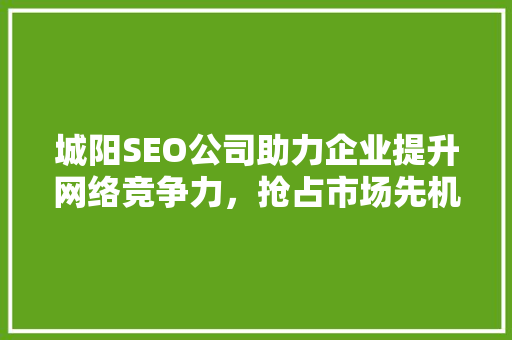 城阳SEO公司助力企业提升网络竞争力，抢占市场先机