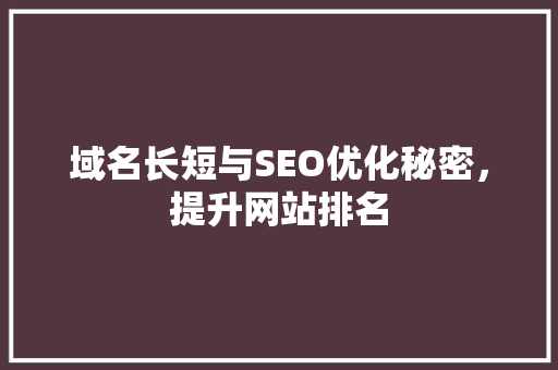 域名长短与SEO优化秘密，提升网站排名