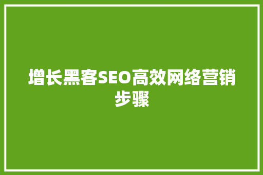 增长黑客SEO高效网络营销步骤