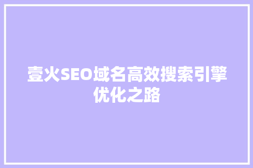 壹火SEO域名高效搜索引擎优化之路