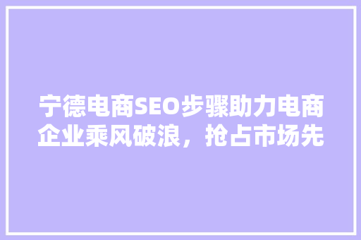 宁德电商SEO步骤助力电商企业乘风破浪，抢占市场先机
