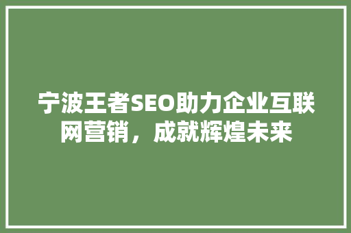 宁波王者SEO助力企业互联网营销，成就辉煌未来