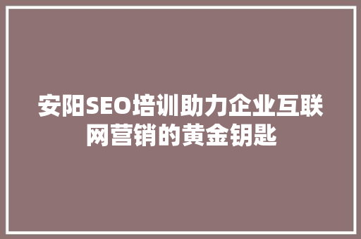 安阳SEO培训助力企业互联网营销的黄金钥匙