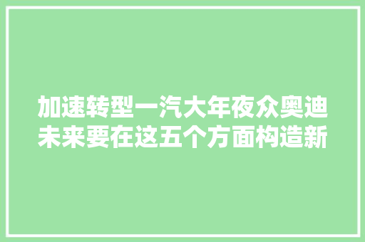 加速转型一汽大年夜众奥迪未来要在这五个方面构造新业态