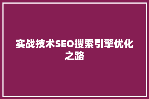 实战技术SEO搜索引擎优化之路