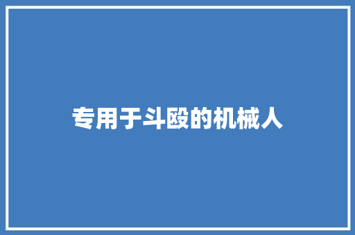 专用于斗殴的机械人