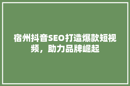 宿州抖音SEO打造爆款短视频，助力品牌崛起