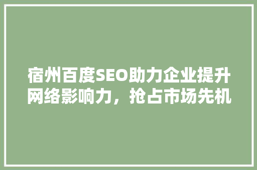 宿州百度SEO助力企业提升网络影响力，抢占市场先机