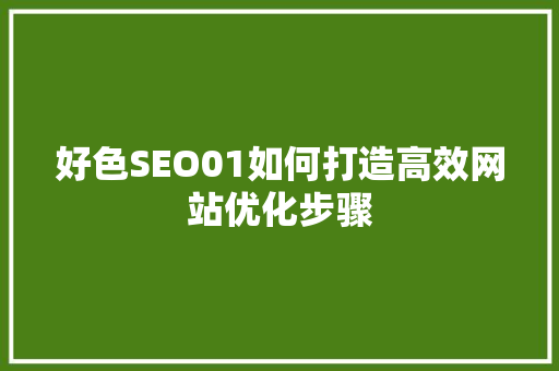 好色SEO01如何打造高效网站优化步骤