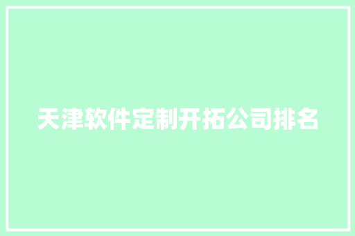 天津软件定制开拓公司排名