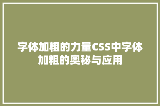 字体加粗的力量CSS中字体加粗的奥秘与应用