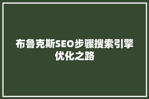布鲁克斯SEO步骤搜索引擎优化之路