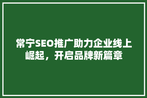 常宁SEO推广助力企业线上崛起，开启品牌新篇章