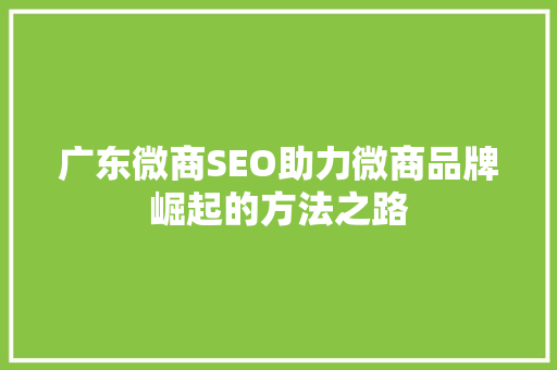 广东微商SEO助力微商品牌崛起的方法之路