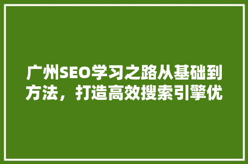 广州SEO学习之路从基础到方法，打造高效搜索引擎优化步骤