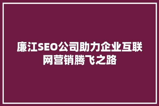 廉江SEO公司助力企业互联网营销腾飞之路
