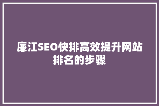 廉江SEO快排高效提升网站排名的步骤